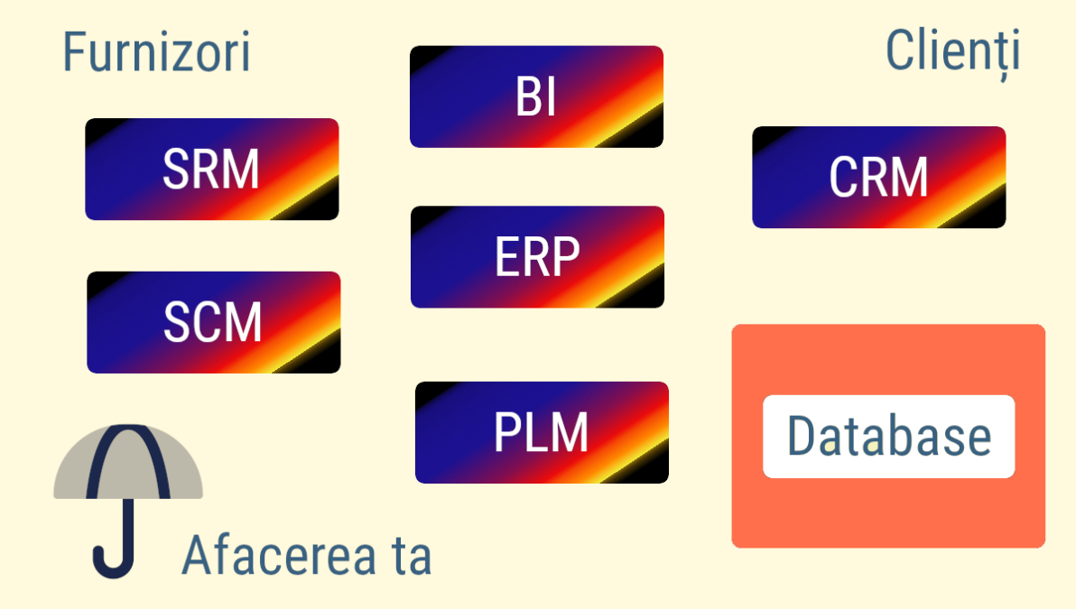 Software personalizat pentru firma ta